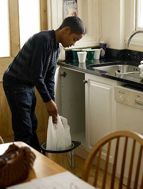 Best Basement Cleanout  in Walden, TN